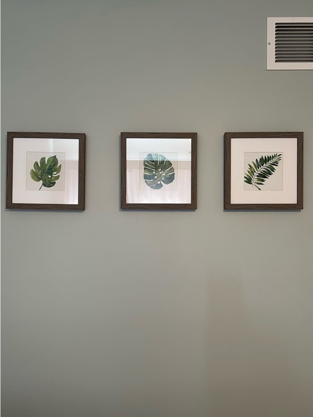 Set of 3 Framed Botanical Leaf Prints - Green
